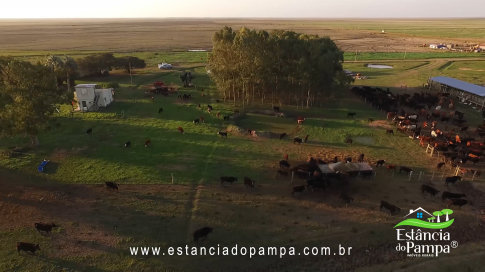 FAZENDA À VENDA NO RS COM 2274 HA (2).00_03_50_17.Quadro025_d8cf5d4b9fe40496e612baa6dd9ec77ef0c30938.png